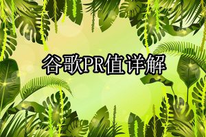 谷歌PR值