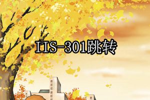 IIS301跳转