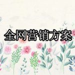 全网营销策划方案