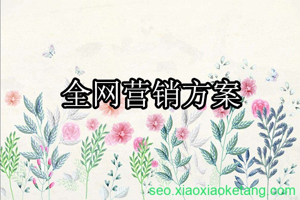 全网营销策划方案
