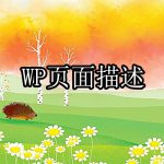 WordPress设置首页关键词和页面描述