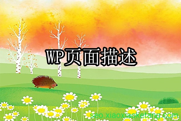 WordPress设置首页关键词和页面描述