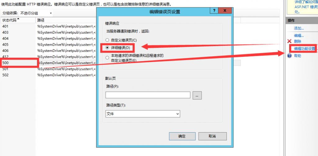 选定错误响应下方的“详细错误”