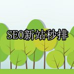 新站秒排名