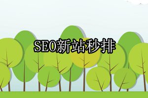 新站秒排名