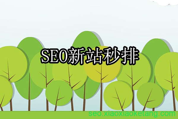 新站秒排名