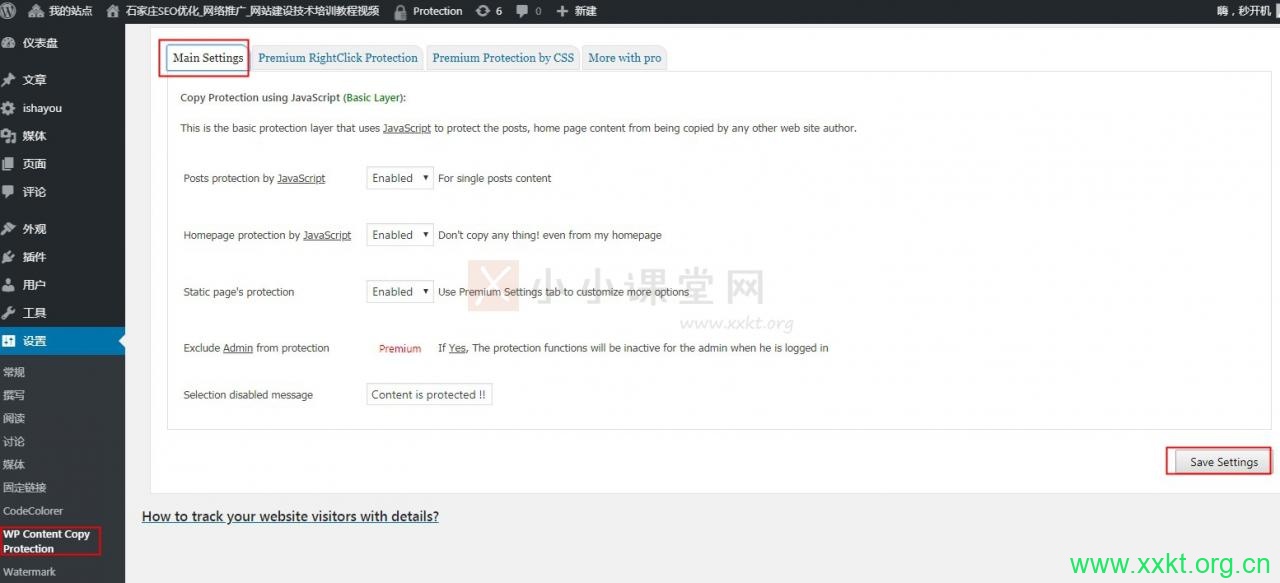 WP Content Copy Protection>进入设置界面